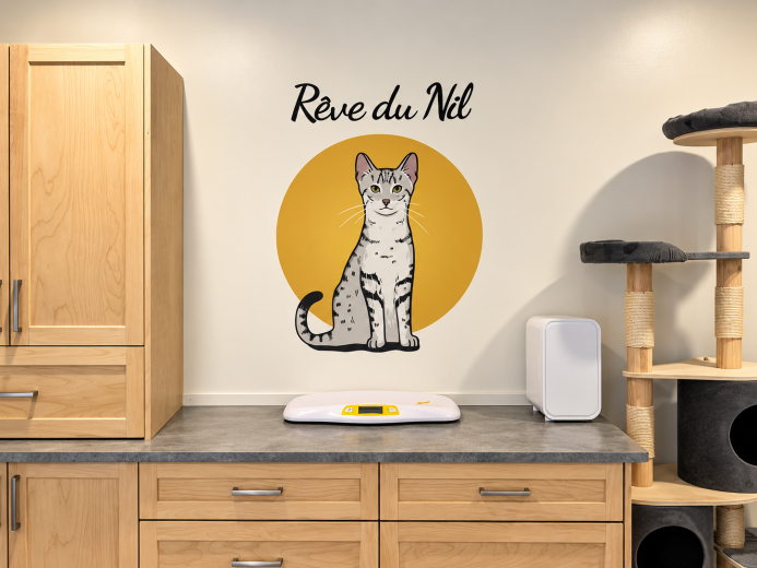 Mural Félin Rêve Du Nil — réalisation L’Atelier 13, St-Hyacinthe